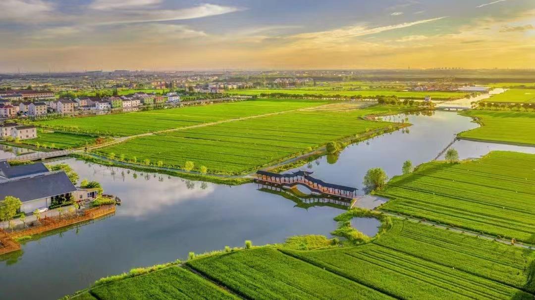 常熟之地“新粮农”