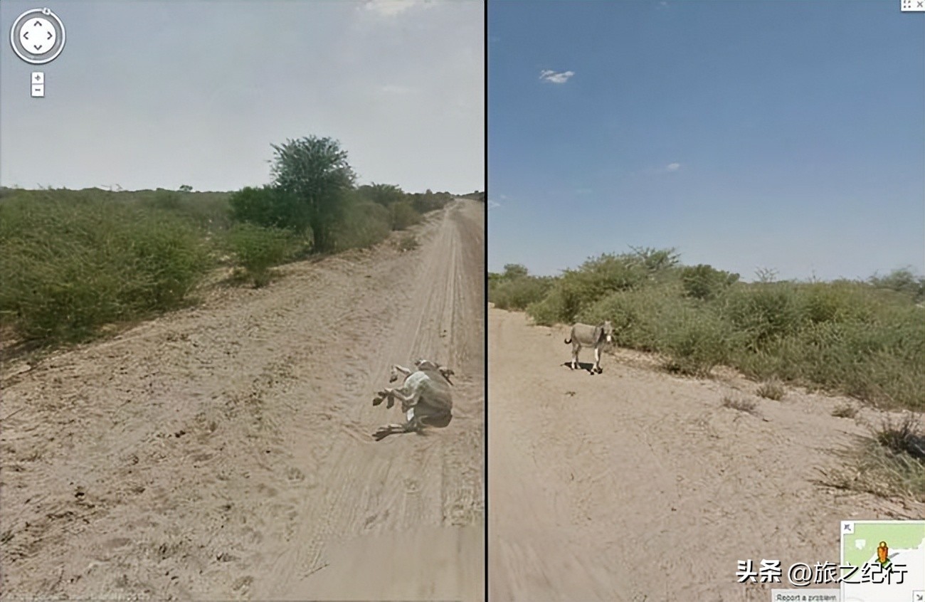 谷歌地图拍到的奇怪的图片,谷歌地图拍到的各种诡异的图片
