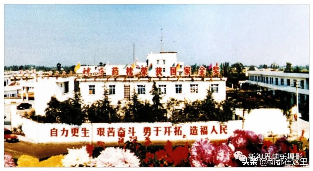 新都区老影像,新都记忆老照片