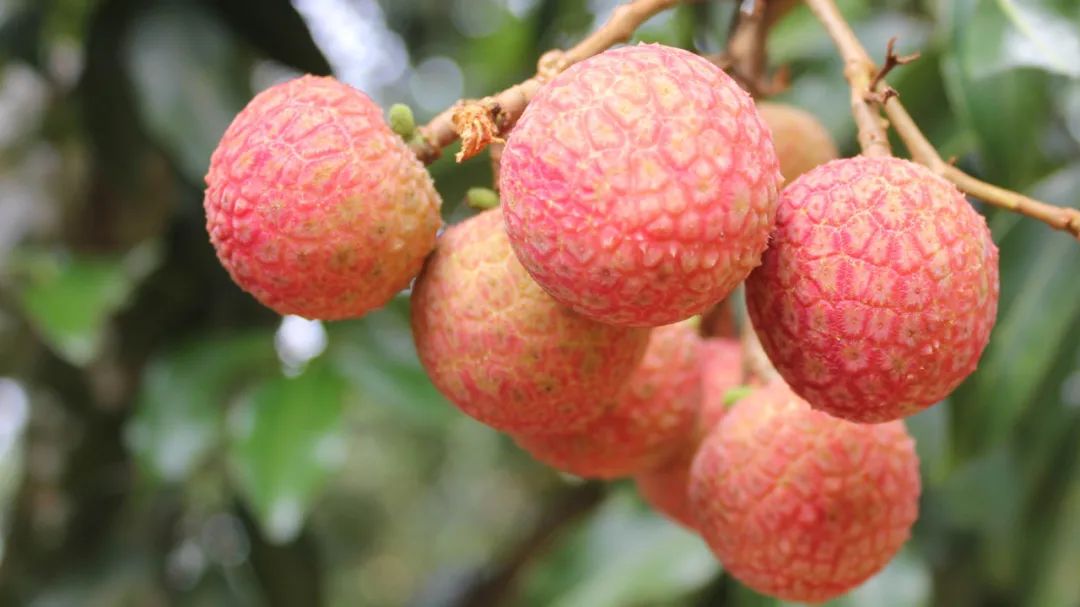 固态硬盘又涨价了吗,目前固态硬盘什么价格最好