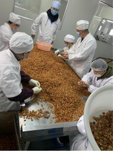 *白县博**塑桂圆肉品牌助推乡村振兴