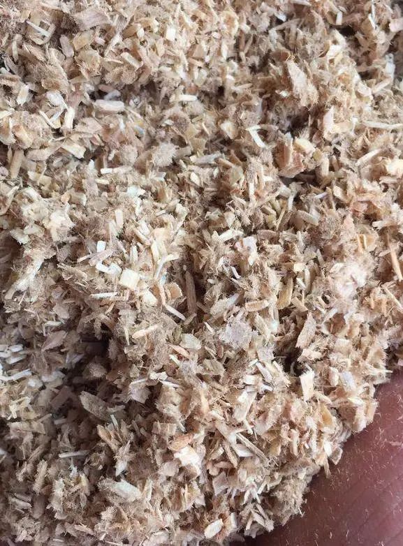 家庭养兰用什么植料好,养兰用什么木屑好