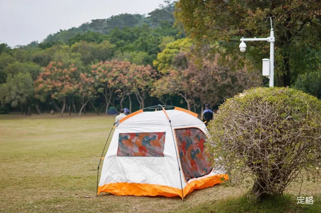 深圳地铁可以直接去的免费景点,深圳免费地铁直达景点12号线