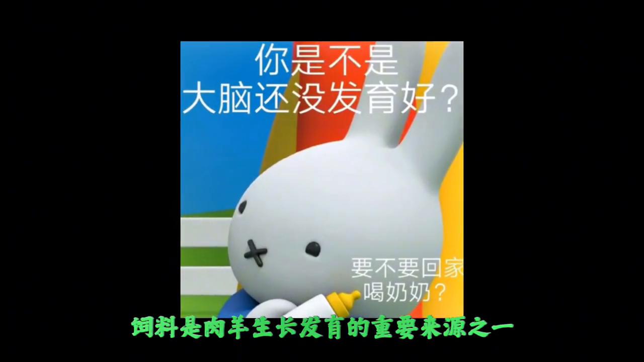 育肥羊快速育肥有方法,肉羊育肥的黄金9条关键技术