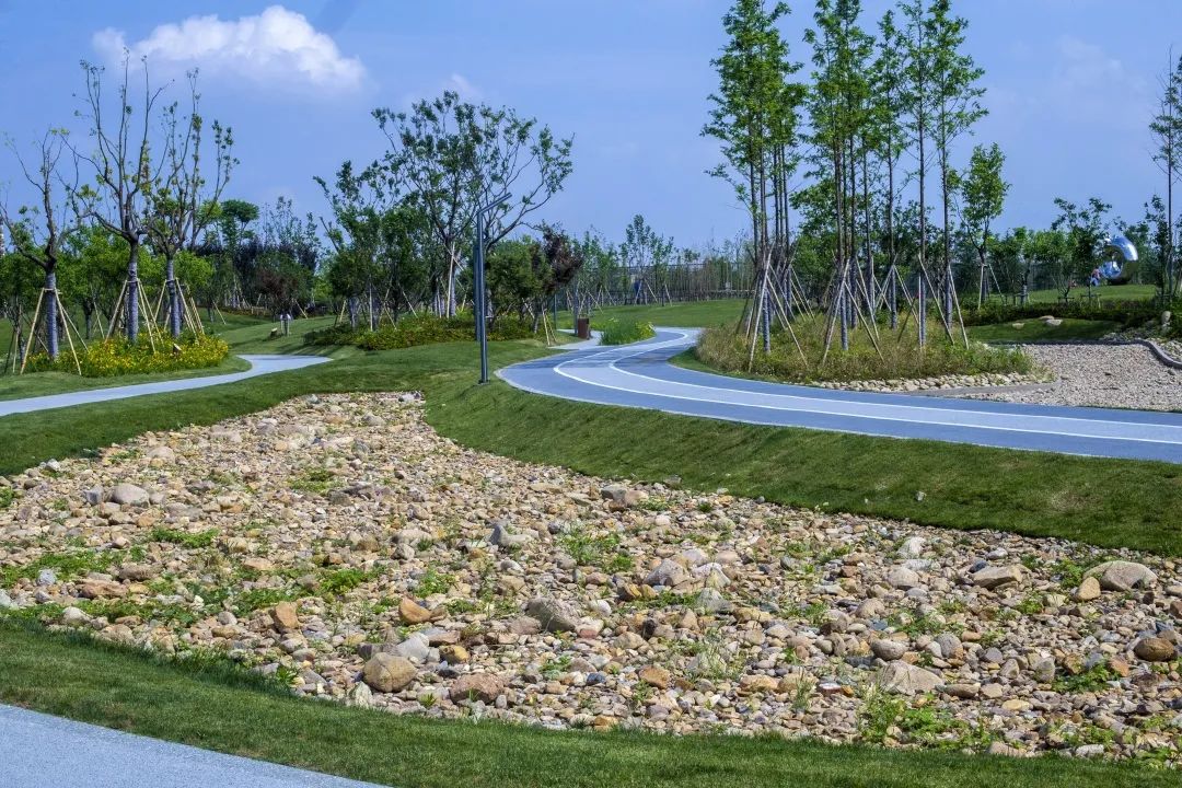 东部湾新城范围,东部新区总体规划高清图