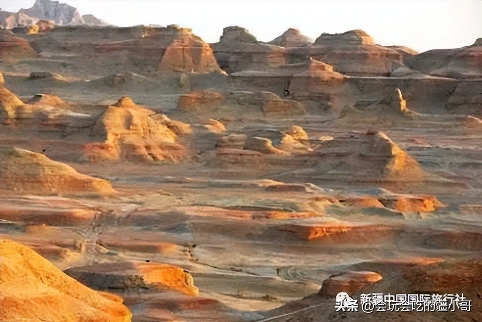 家庭出游7座车,家庭旅游8座车