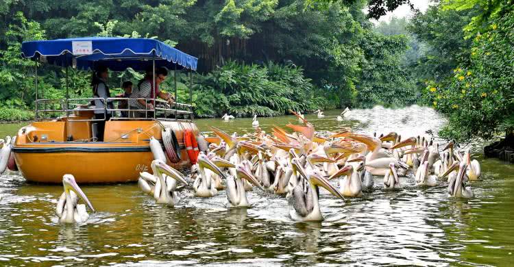 广州长隆酒店童趣乐园,广州游玩长隆性价比超高的酒店