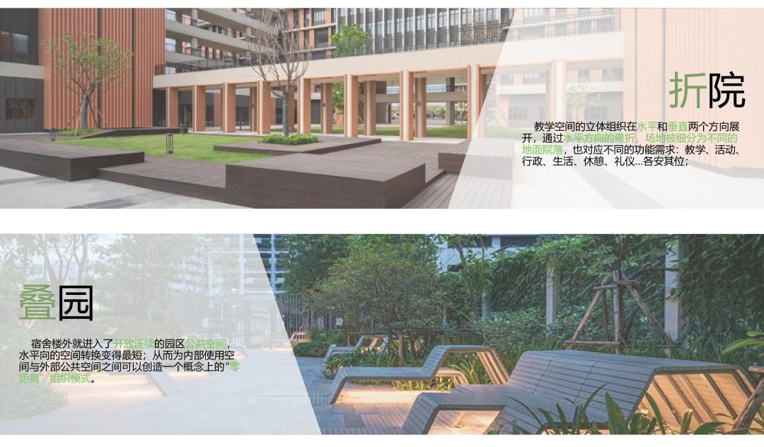 打造学生健康快乐成长的“林中学堂”，这所深圳高中做到了！