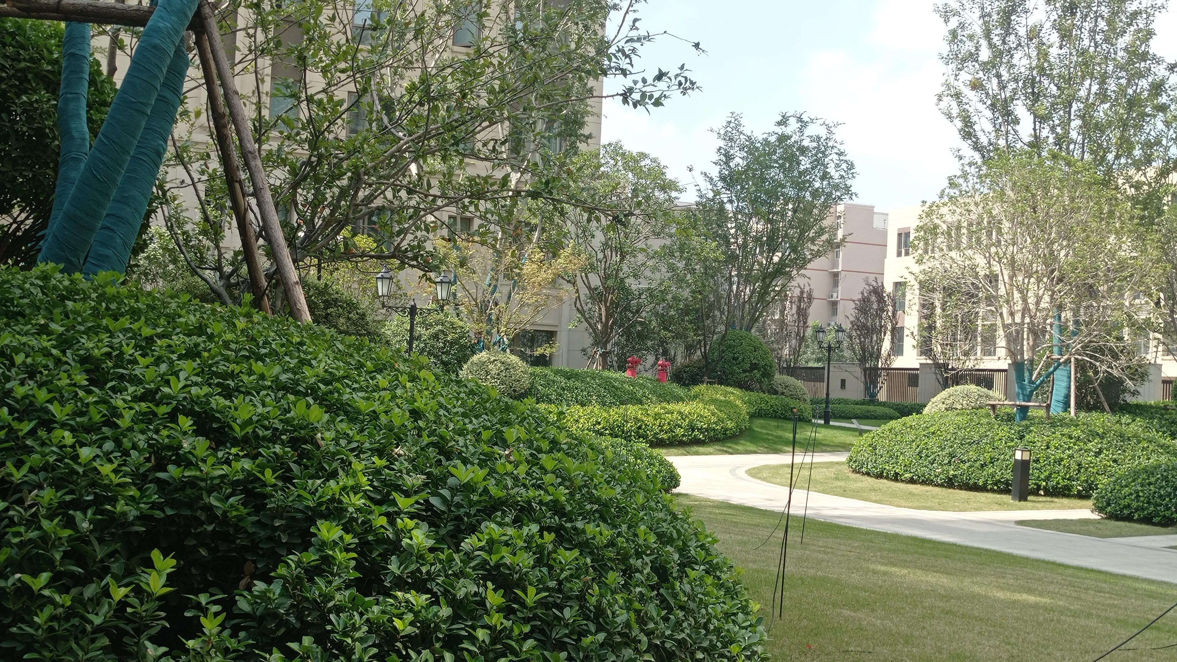 洞察贫穷背后的真相让你远离贫穷,为什么你会穷一辈子