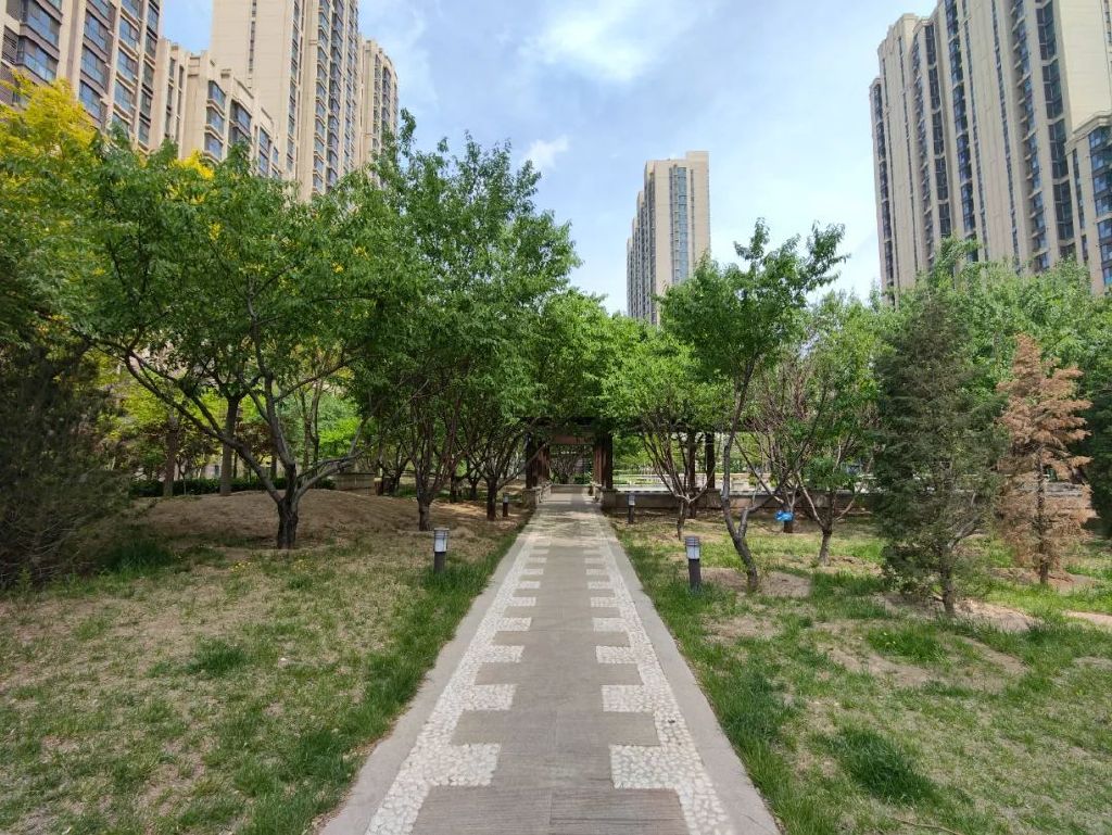 谁是影像机皇,谁才是手机机皇