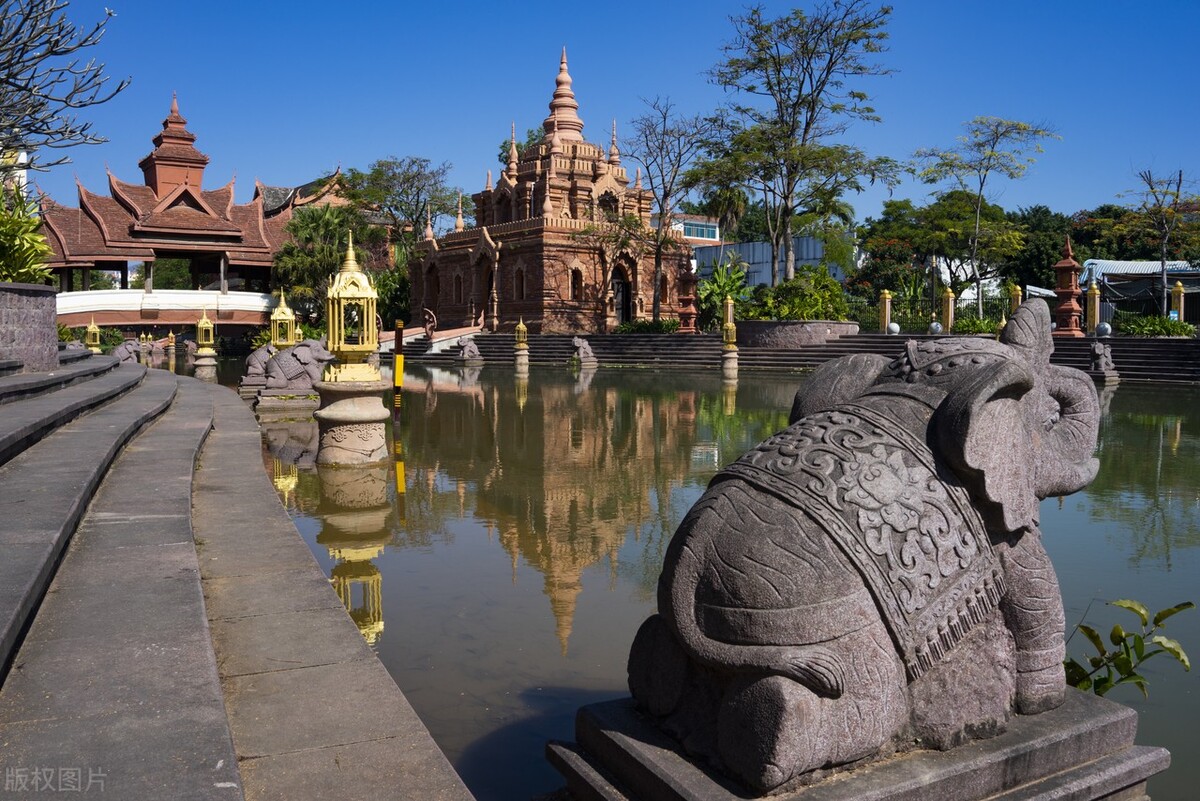 2022西双版纳门票免费的景区,西双版纳望天树景区与热带植物园