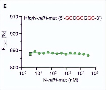 绿脓杆菌如何培养,绿脓杆菌做什么项目培养