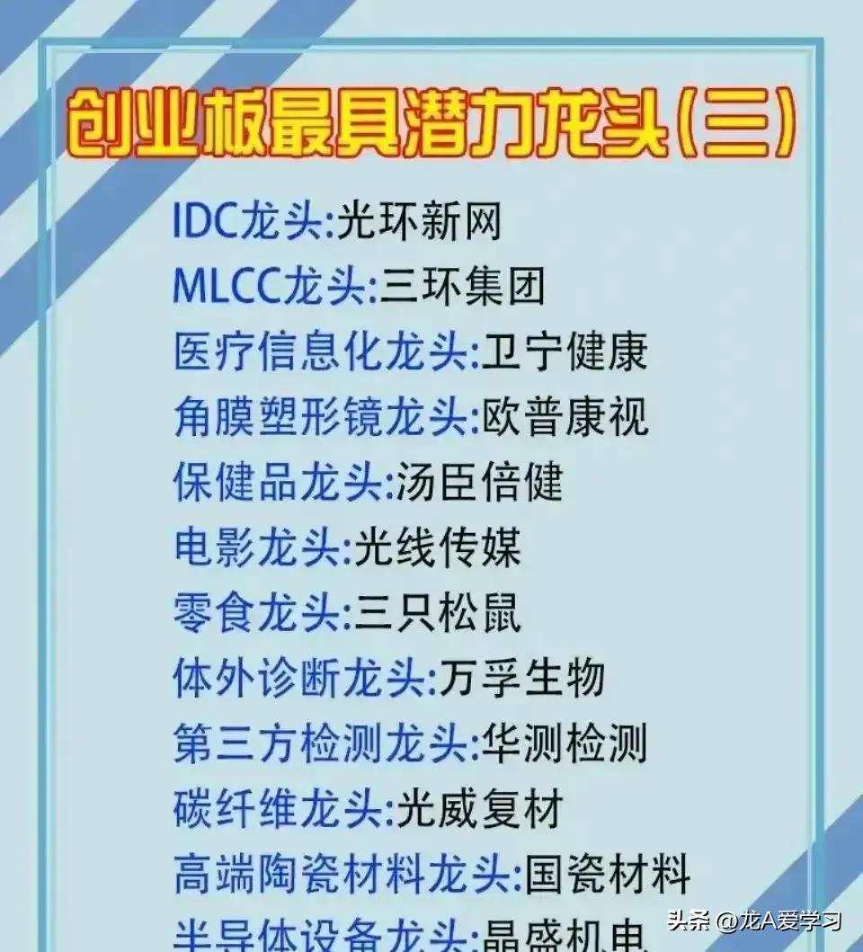 汽车创业板龙头股有哪些,创业板2元左右的龙头股