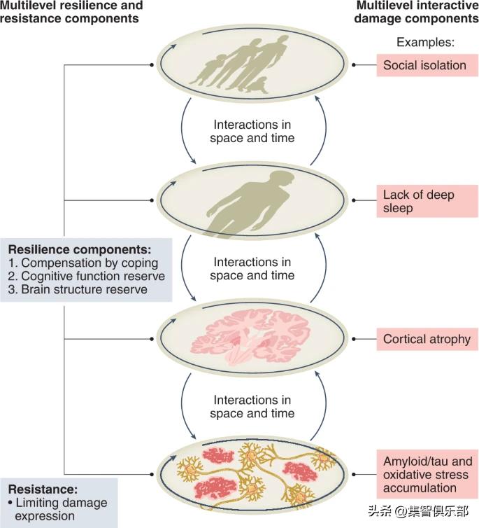 衰老分为生理性衰老和病理性衰老,衰老的特点与相关理论