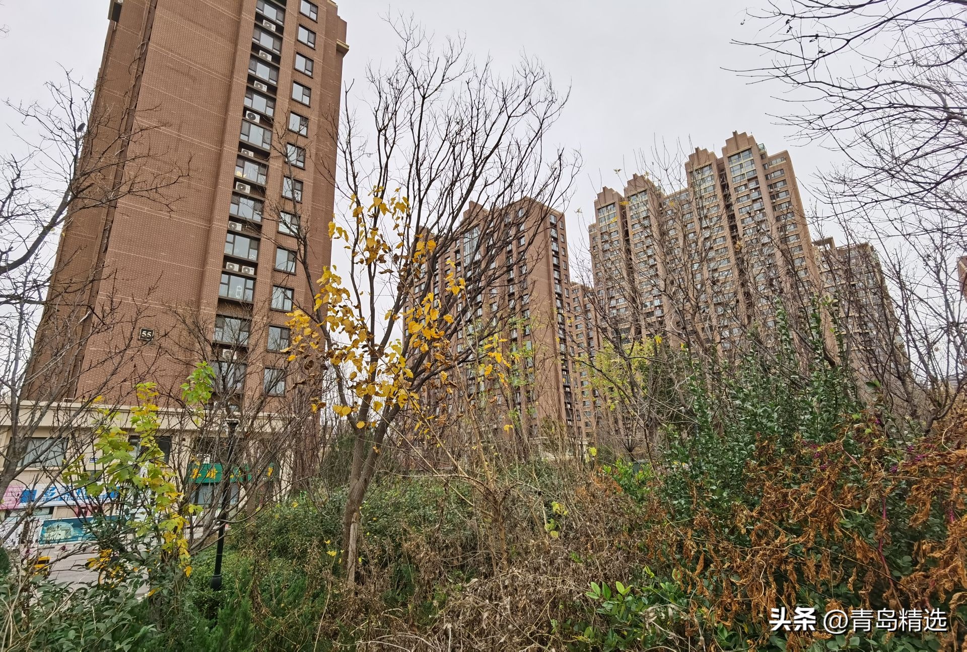 城阳正阳路改建正阳西路,城阳区改善小区