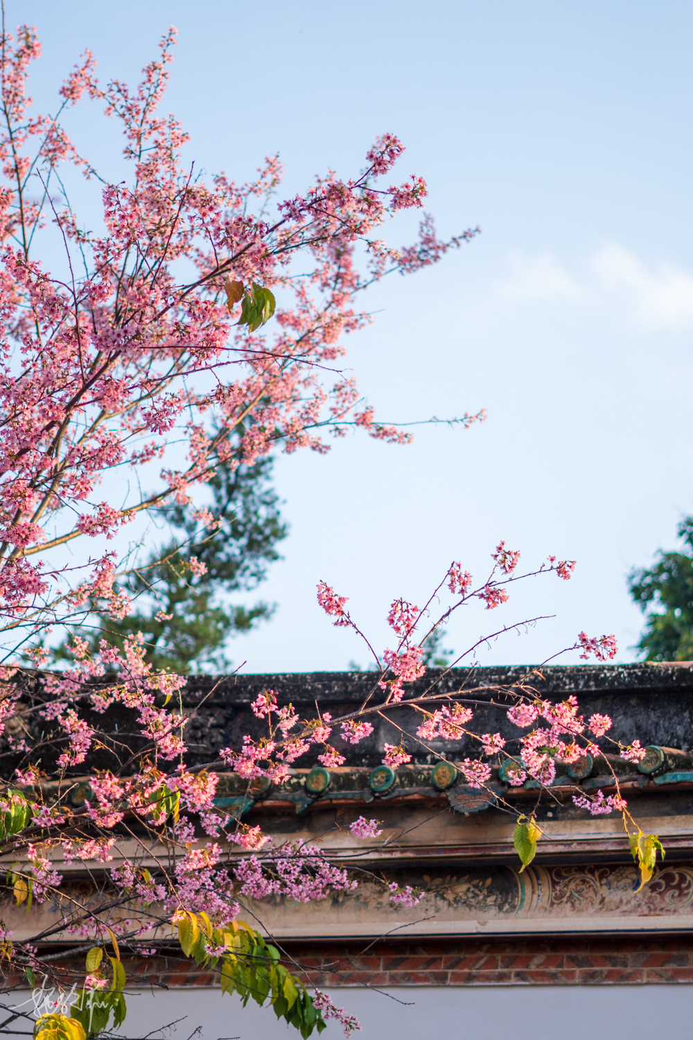 我的2022年度报告,我的2022原版