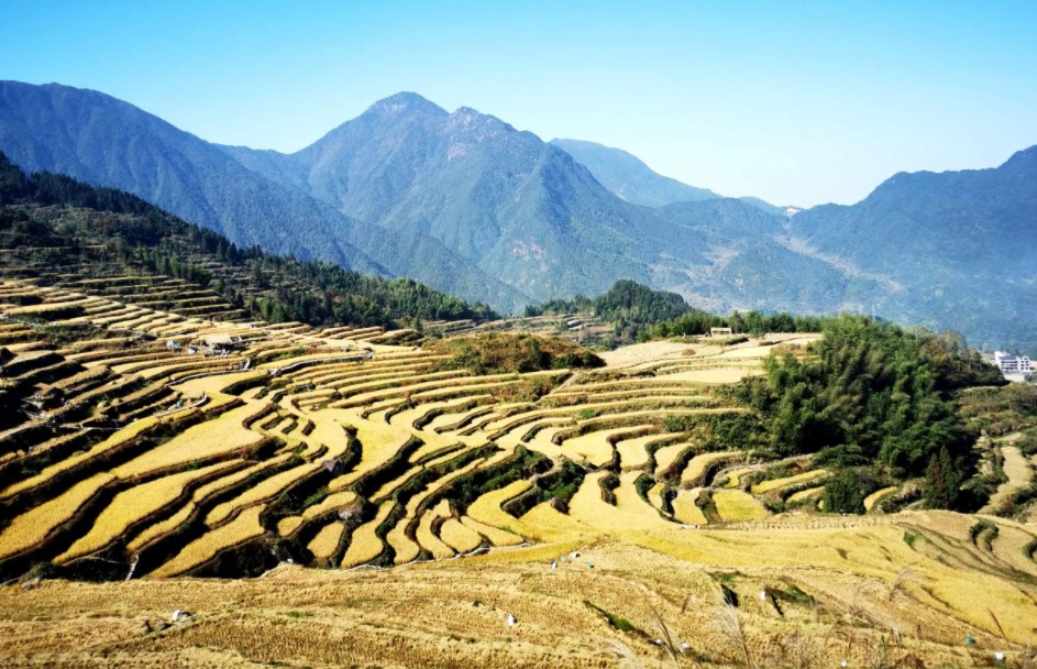 2013年西班牙富商恋上中国大妈，不惜放弃亿万资产，女方：不领证