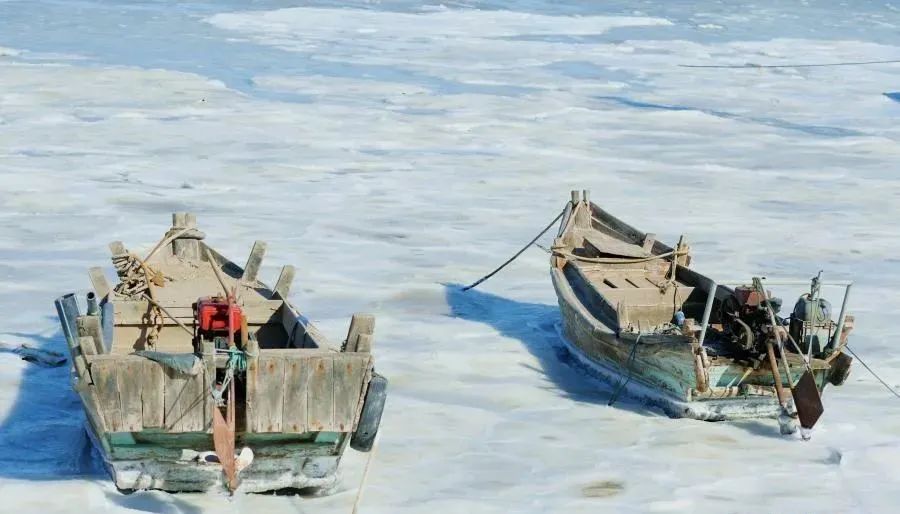 海水结冰？“T8”联考也来凑热闹