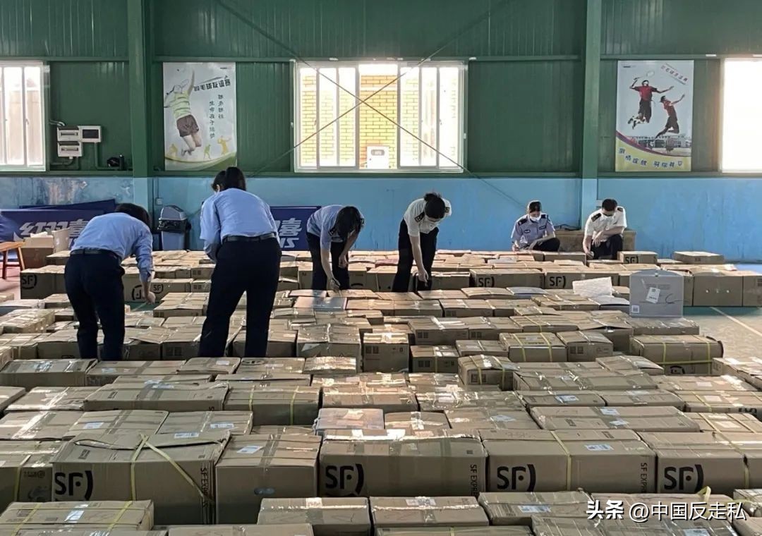 湛江海关缉私局走私最新新闻,湛江海关缉私事件