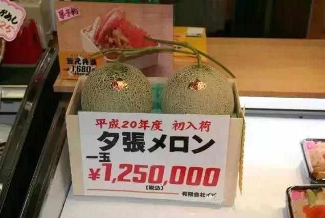 日本最高等级甜瓜,日本甜瓜水果之王