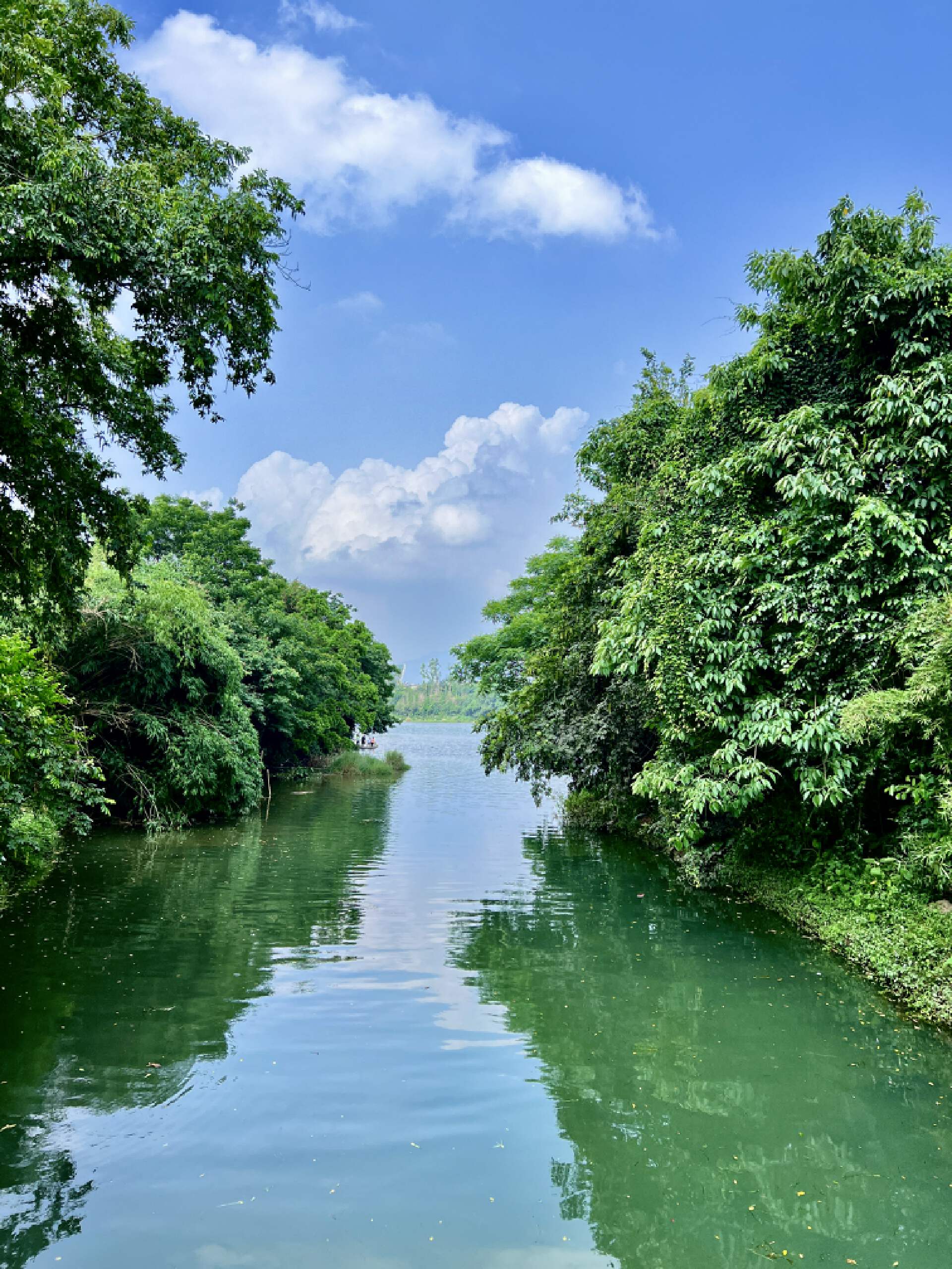 桂林这座城市怎么样,桂林优点和缺点