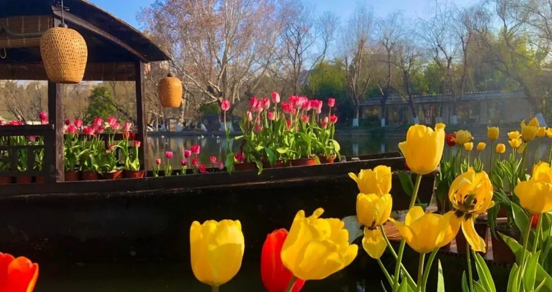 翠湖博物馆群规划,翠湖博物馆群文创