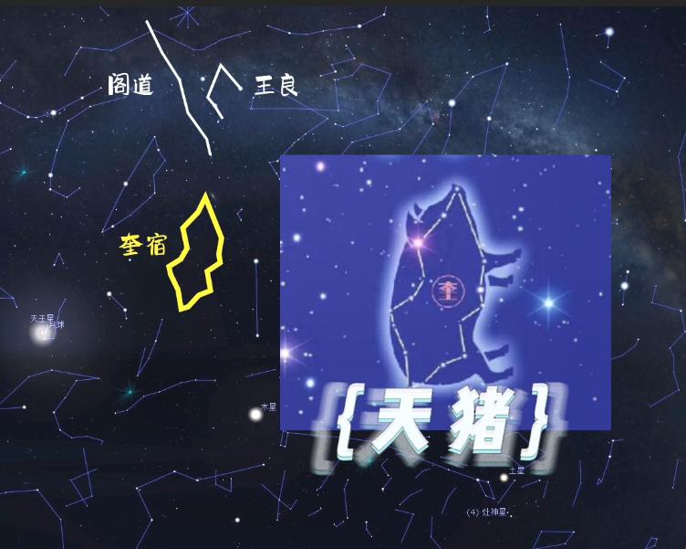 青龙VS白虎的世纪大战！为什么它们是死对头？「星空帝国系列」8