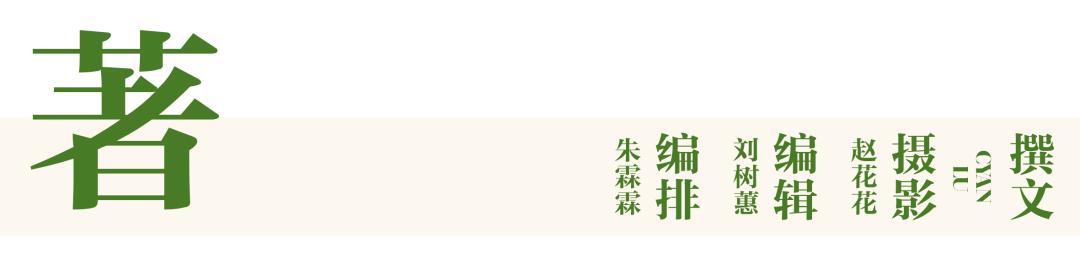 云南咖啡现在成熟了吗,云南咖啡越来越好