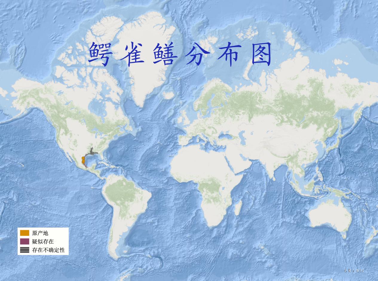 最好养的观赏鱼冷水鱼有哪些中型,冷水鱼有哪些观赏鱼比较好看