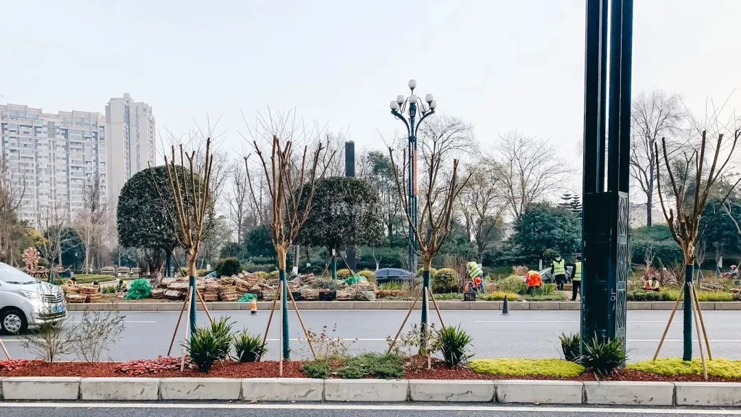 熊猫基地扩建园区,熊猫基地扩建最新