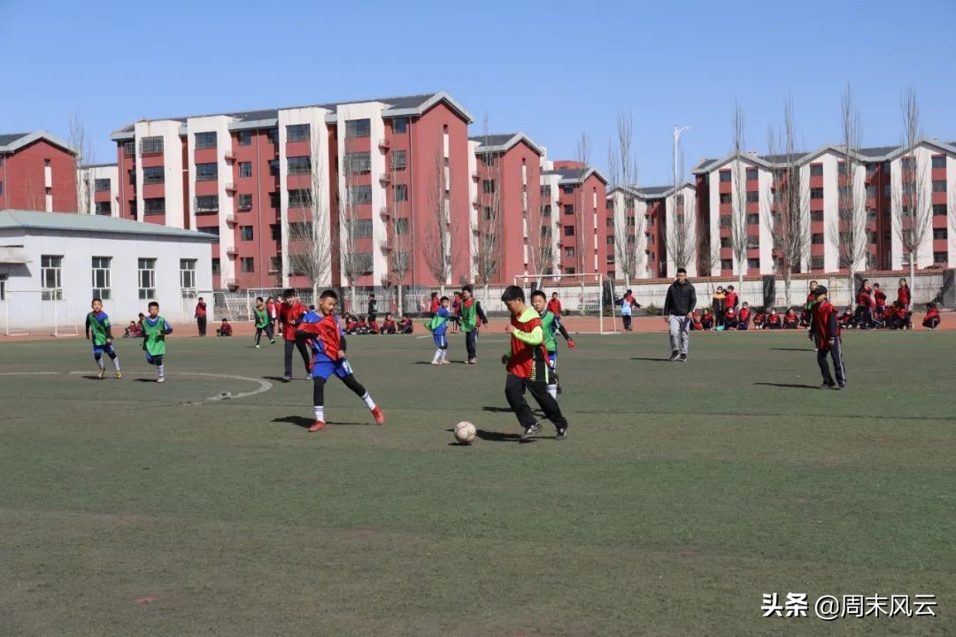 乌海“校长杯”：绿茵竞技场精彩连连看