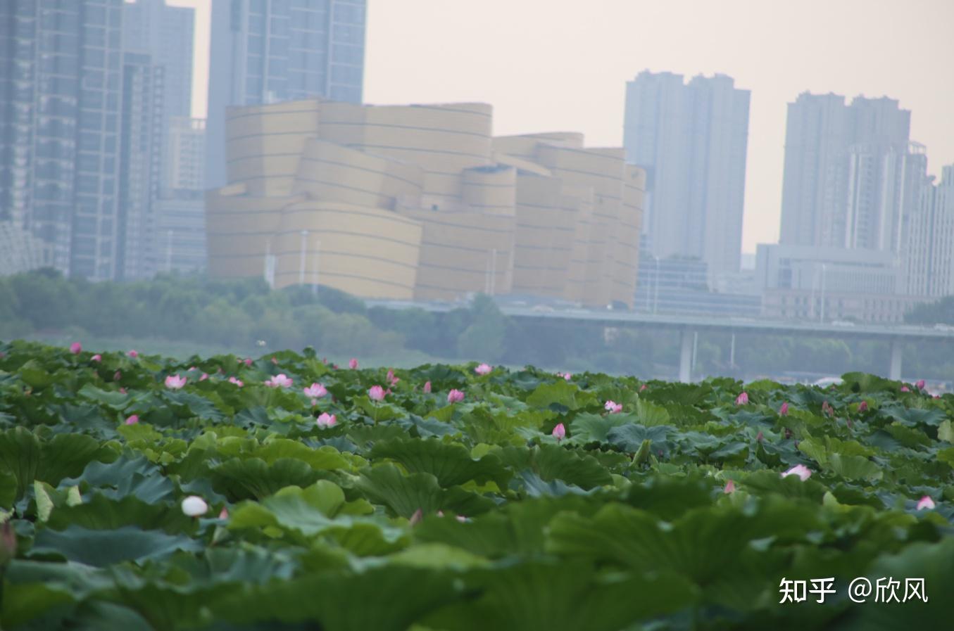 湖北十堰旅游攻略三日游,湖北到贵州三日游景点攻略图