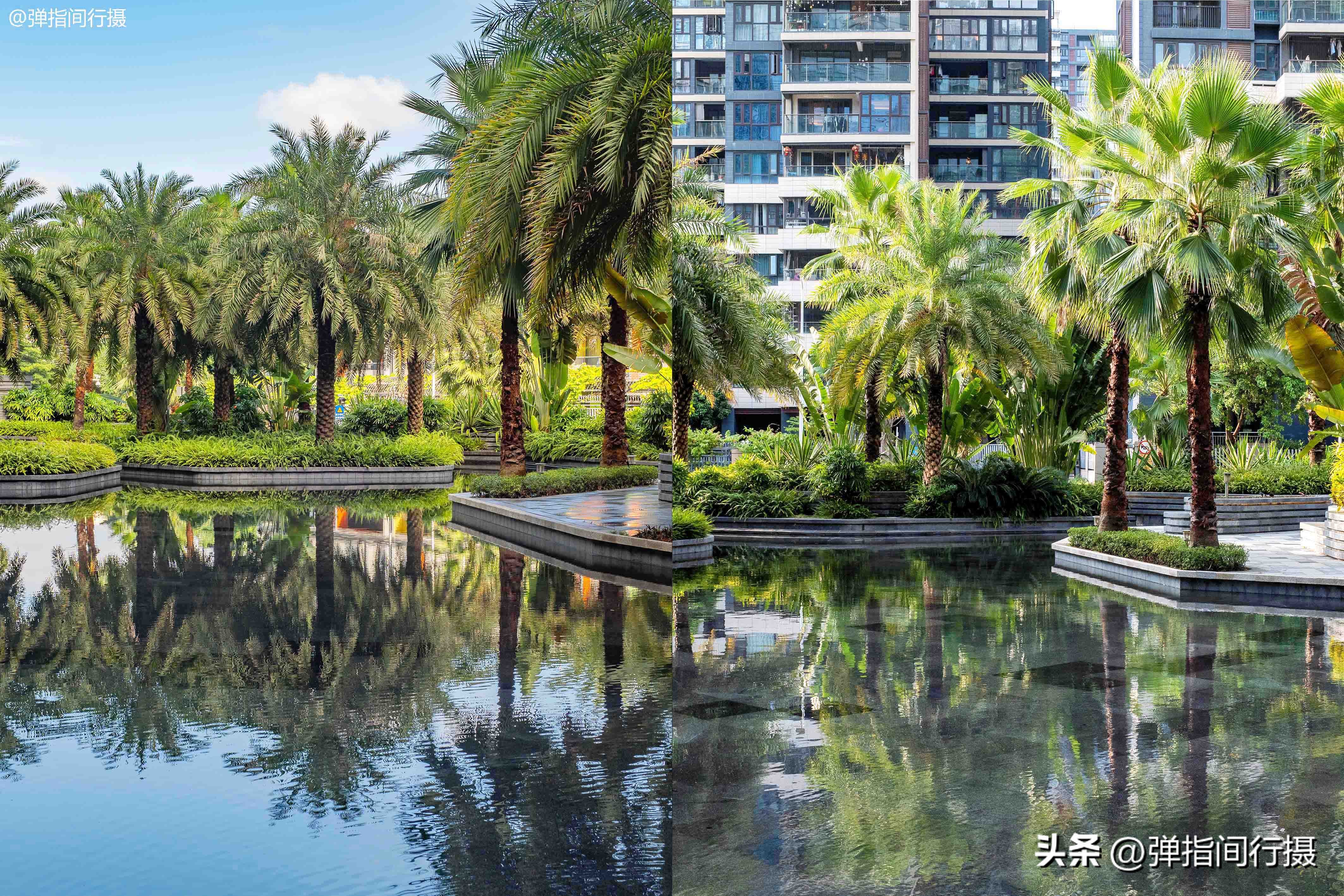 旅居深圳的日子,旅居办公两不误