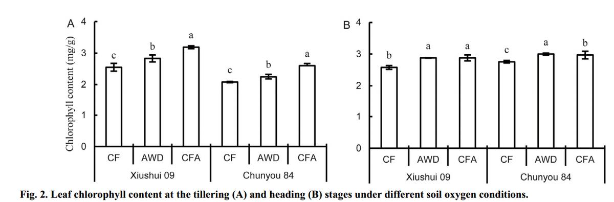 促进水稻氮素吸收利用的途径,促进水稻根系生长的措施