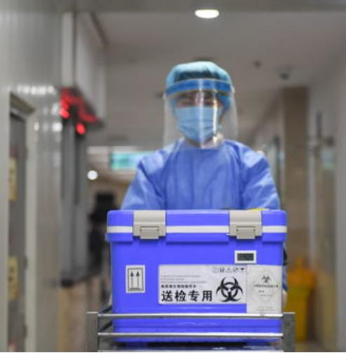 做了那么久的核酸,你知道采样之后还有什么流程吗?