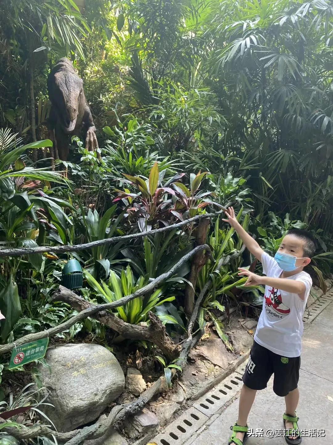 广州长隆野生动物园最好攻略,最近广州长隆野生动物园攻略