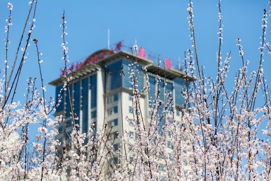 南京航空航天大学第几批,南京航空航天大学自主研制的卫星