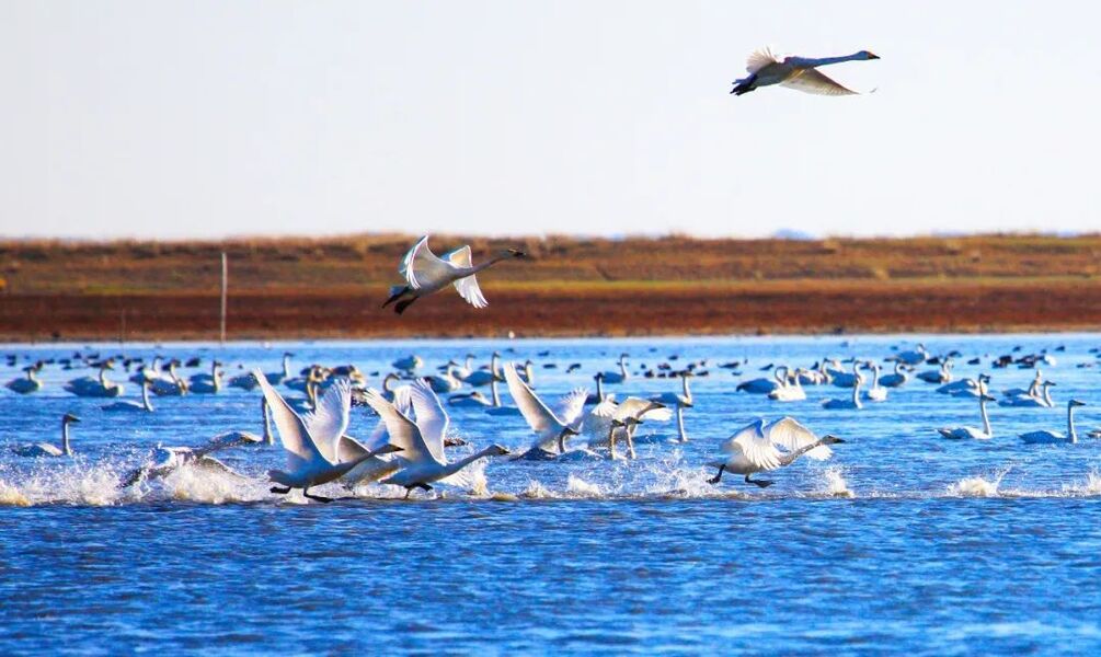 赤峰内蒙古的缩影,为何赤峰称为塞外城市