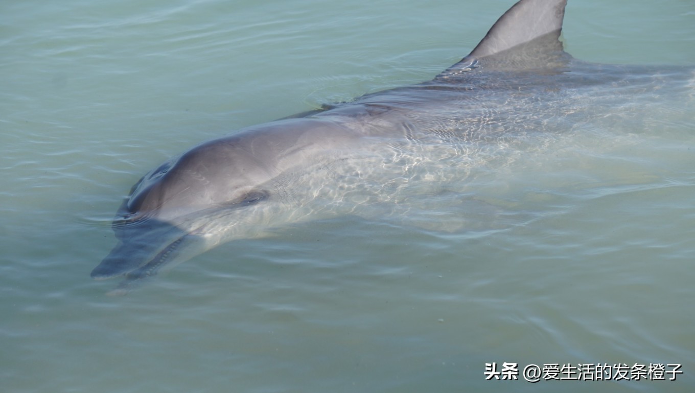 一路向北全程1980公里,西澳自驾游最佳路线图