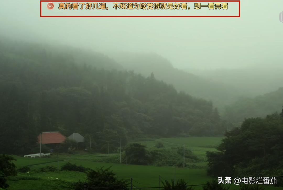 豆瓣9.0，日本乡间简素的一餐一饭，治好了无数人的“精神内耗”