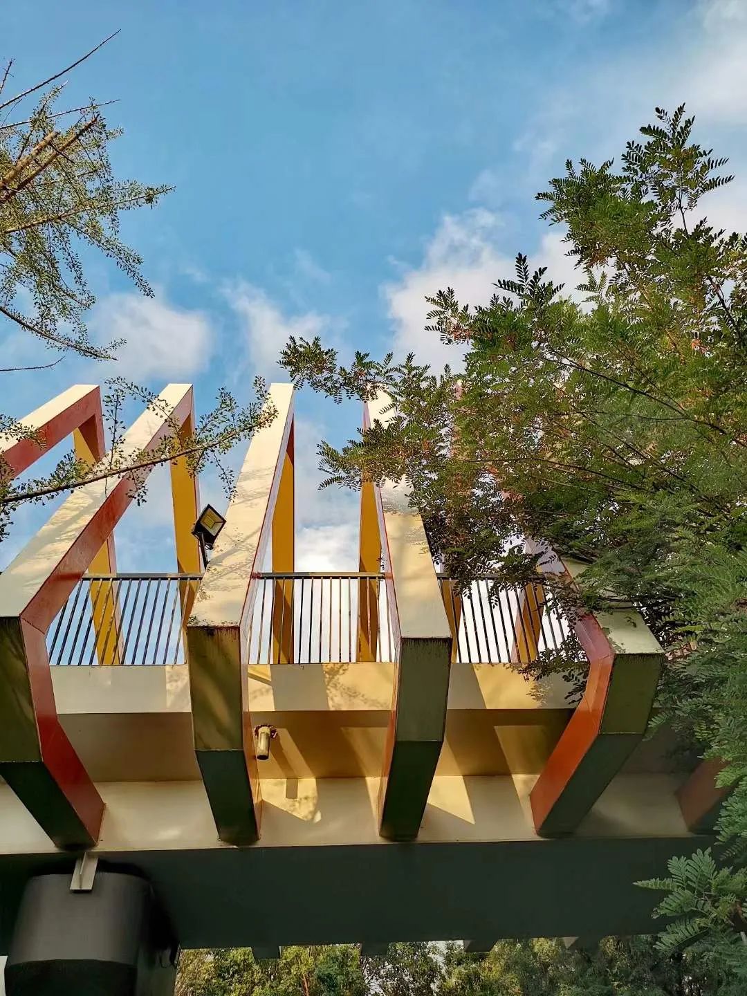 济宁孔子学校小学学费,济宁市海达行知学校怎么样