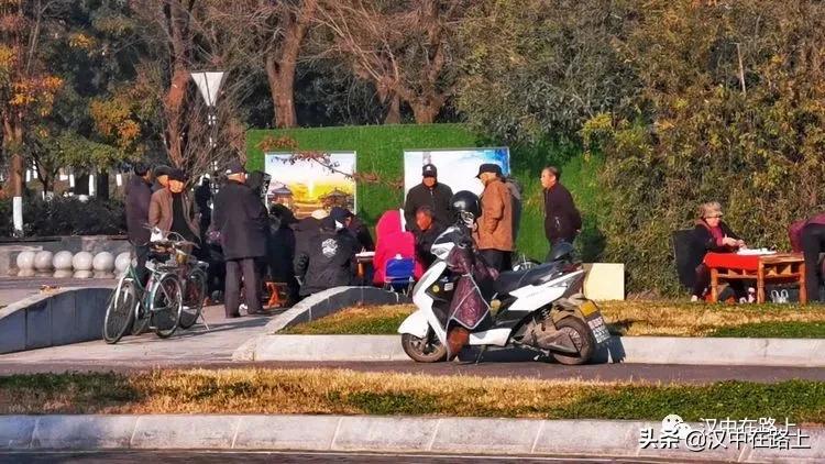 冬泳爱好者低温中畅游泳,泳者无所畏惧