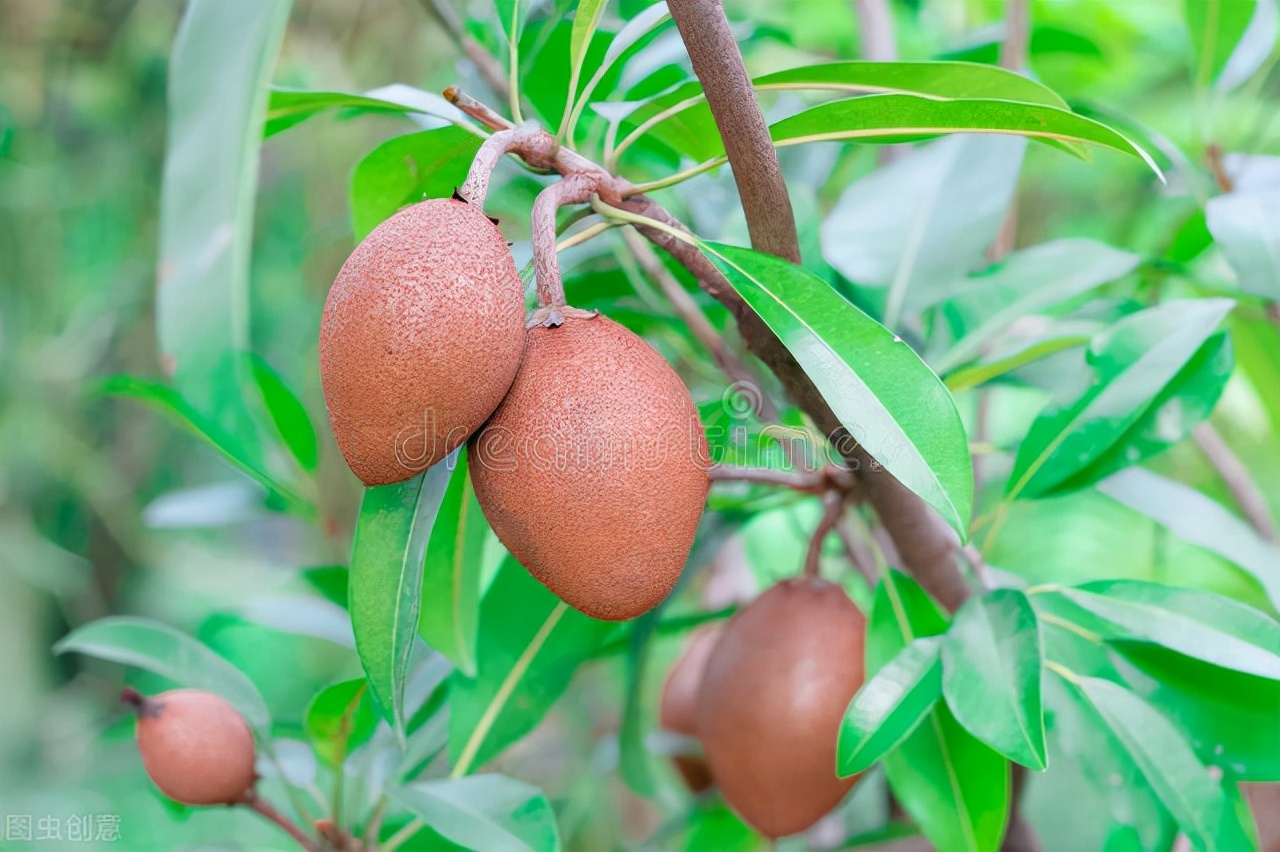 洗洁精致癌这3种要少用,几种洗洁精用不得会致癌