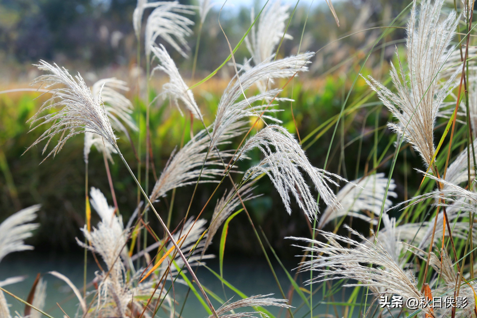 杭州周边秋日赏景好去处,杭州周边当季旅游景点推荐