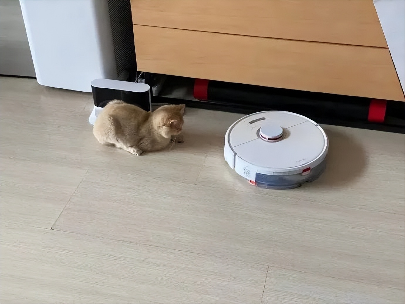 西瓜奇葩搞笑图片,超级搞笑吃西瓜笑的肚子都疼了