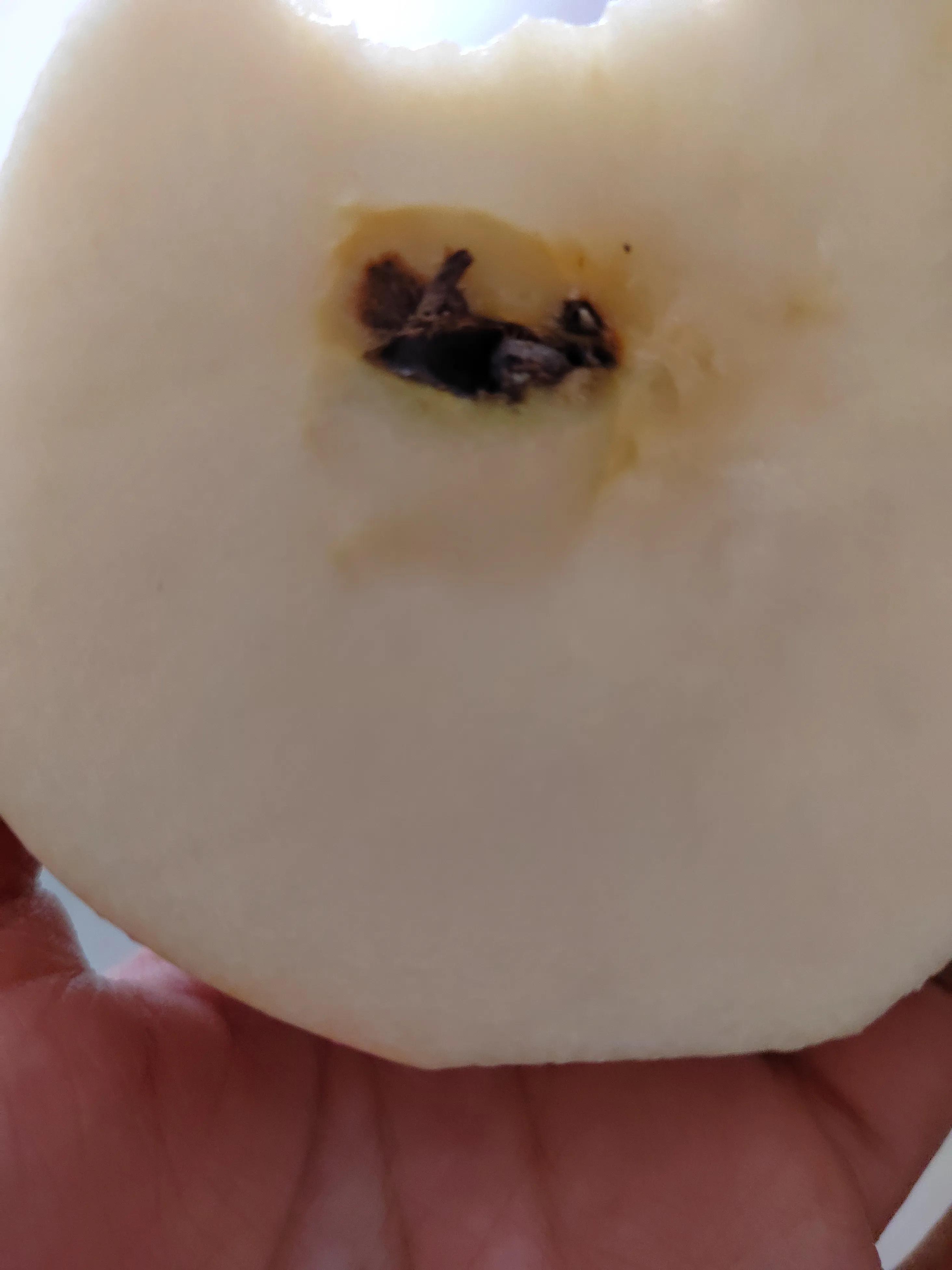 马路边三轮车拉的苹果到底怎么样，来围观