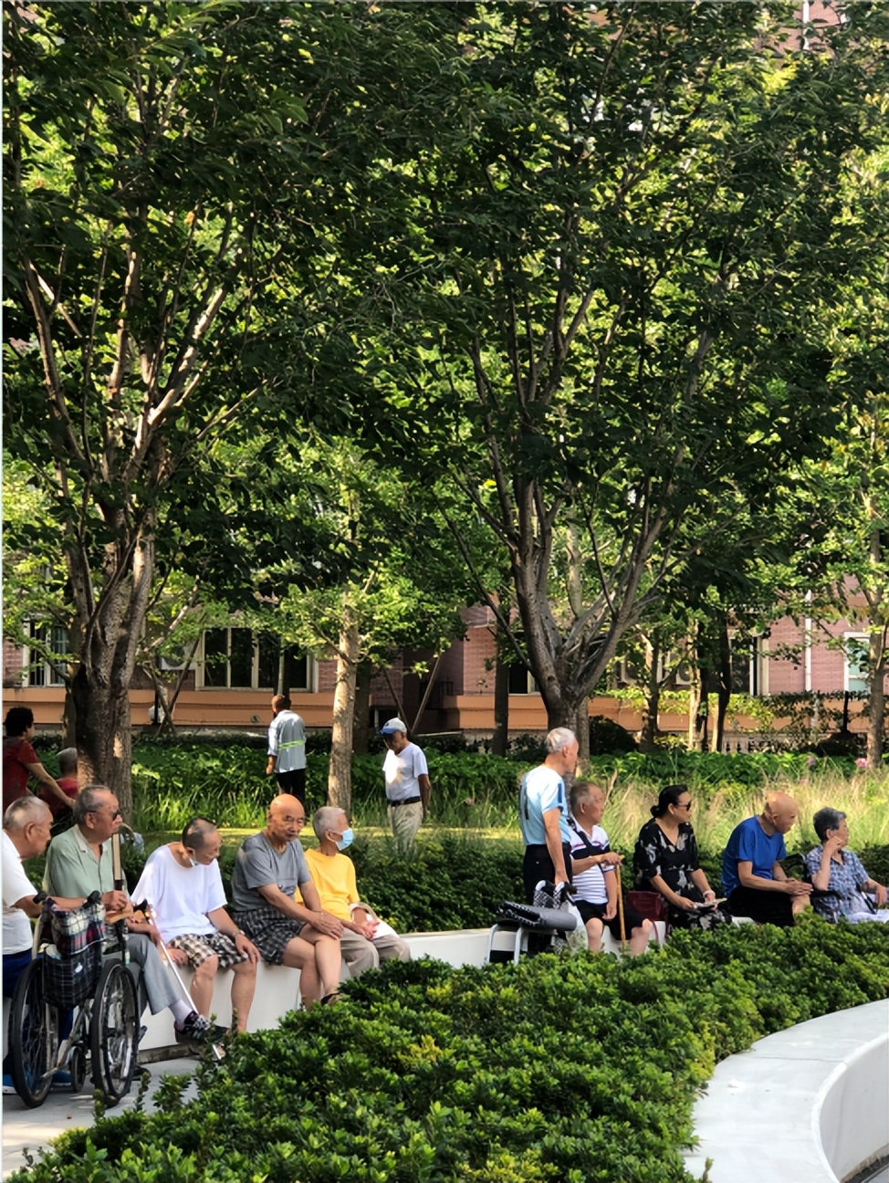 “乐”享漫时光：嵌在繁华商圈的“宝藏绿地”