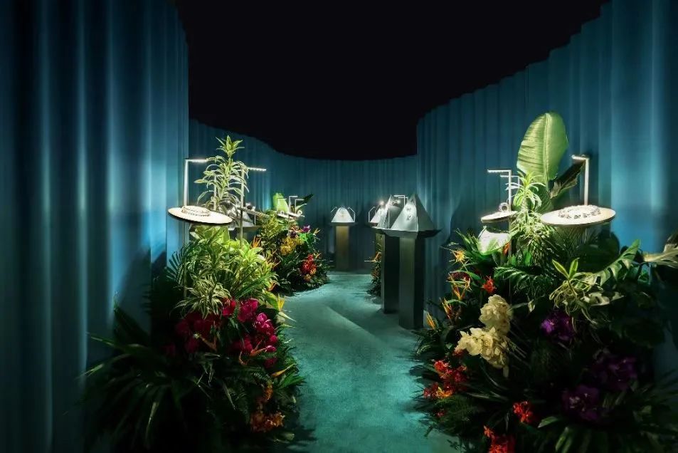 大品牌pk,各大品牌大pk