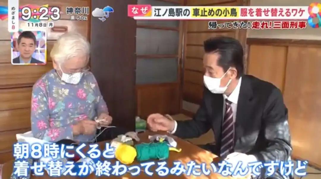 害怕小鸟受凉，有人悄悄为它们织了22年的毛衣