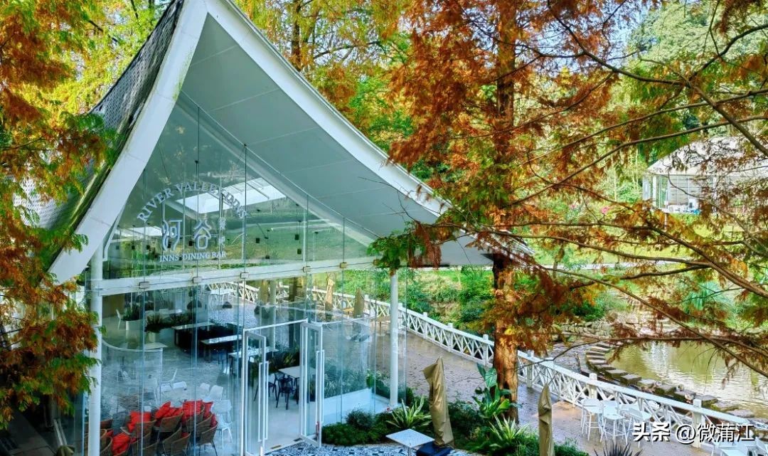 迎新春兔年促消费,迎新春促消费浓浓年味享不停